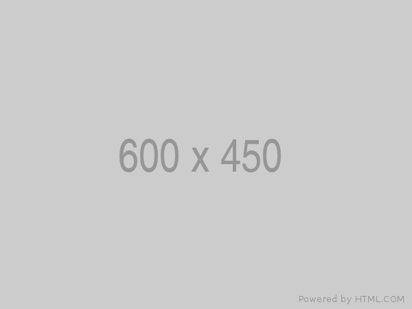 600x450